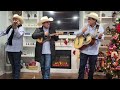 El Gallo, Trio Cantores del Son
