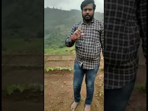 Cone Type Soil pH and Moisture Meter 3 8% (10- 80%) moisture.