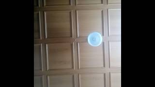 Sons of Jim Fairytale cover 2017