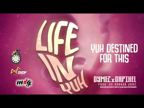 Island Shak Entertainment and dymezanddapixel