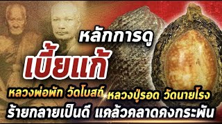 หลักการพิจารณาเบี้ยแก้หลวงพ่อพักวัดโบสถ์ และ เบี้ยแก้ หลวงปู่รอดวัดนายโรงl หยิบกล้องส่องพระ 25/02/64 หลักการพิจารณาเบี้ยแก้หลวงพ่อพักวัดโบสถ์ และ เบี้ยแก้ หลวงปู่รอดวัดนายโรงl หยิบกล้องส่องพระ 25/02/64