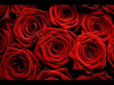 Pavol Habera - Pieseň pre nesmelých