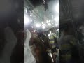 Kumbakonam To Thanjavur Bus LINCOLN 09 10 2019