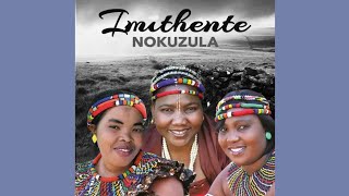 Download lagu Uyinsizwa Ngakini mp3 Download lagu Uyinsizwa Ngakini mp3