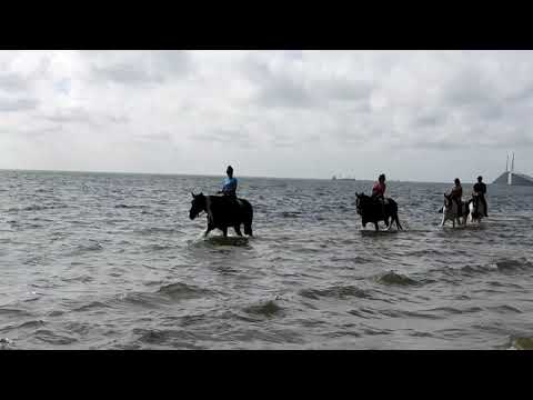 Beach Horseback Riding #ChuckyandJosh
