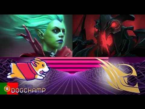 DogChamp vs felt  (1 jogo) |  DESTAQUES