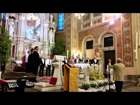 Oktet Gallus - Oj, Doberdob