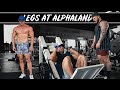 Breaking Down My Leg Day at Alphaland with Lewy | Texas Part 4