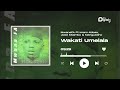 MwanaFA Feat Imam Abasi Jose Mtambo Mangustino Wakati Umelala Offial Audio