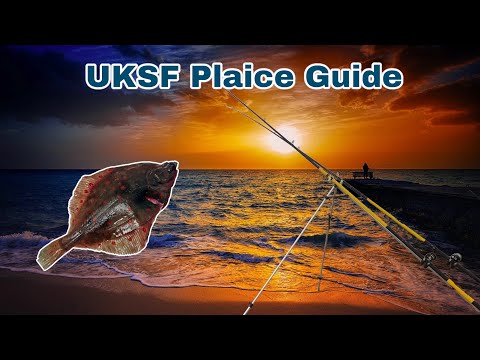 Uncover the Secret to Catching Plaice | UK Sea Fishing Series. Episode. 1
