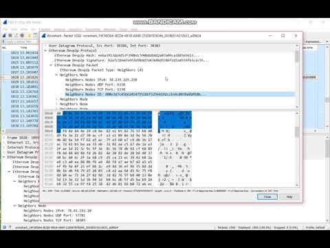 Ethereum Engineering Group: Demo of devp2p Wireshark Dissector