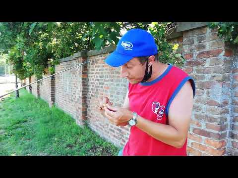 Fishing lessons with Bonso the Kobra