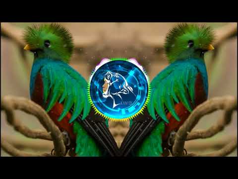 Marimba Sonora GC Vol.25 - Recuerdos de Alfredo (FH)