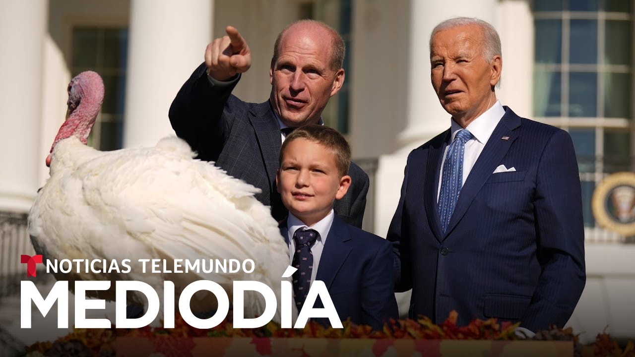 Los últimos pavos que Biden perdonó viajaron 16 horas para salvar sus vidas | Noticias Telemundo