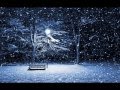 Walking In The Air - George Winston (Edit)