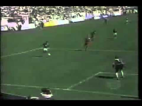 ¡Nos Vamos al Mundial! - Gol del "Abuelo Cruz" para calificar al mundial 94.