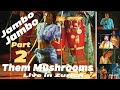 Them Mushrooms Live Jambo Bawna Part 2