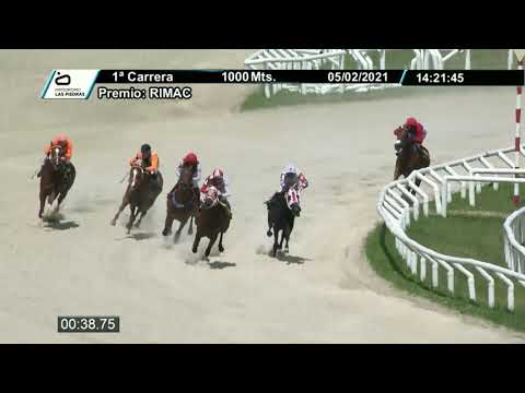 210205 c01 - ES PORFIADA - HIPODROMO LAS PIEDRAS