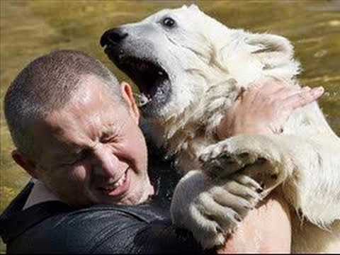 Sequel to Knut Must Die - Mitch Benn - The Now Show