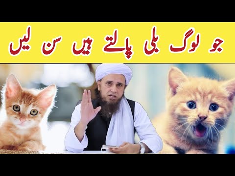 Jo Log Billi Palte Hain Sunlein | Mufti tariq masood #cat #pets