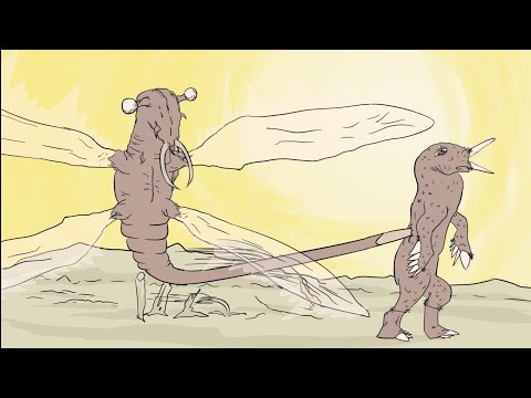 All tomorrow animation Qu manipulates Temptor