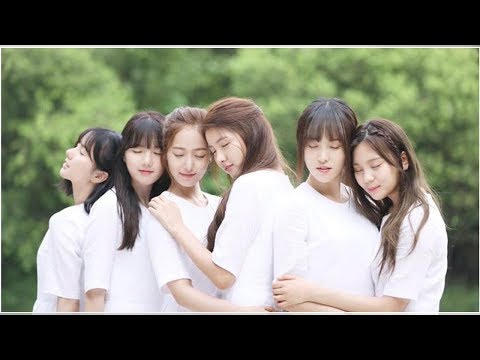 GFriend Members’ Weight Loss and Diet Plans