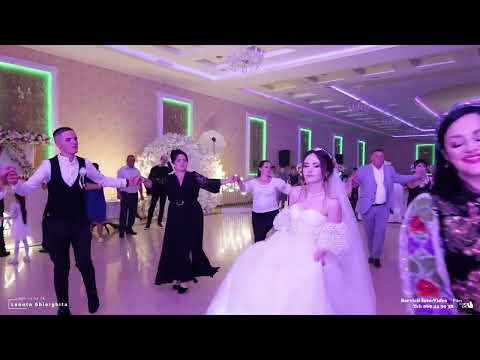 LENUTA GHEORGHITA - VIATA M-A PURTAT PRIN LUME