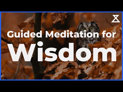 Guided Meditation for Wisdom (10 Minutes)