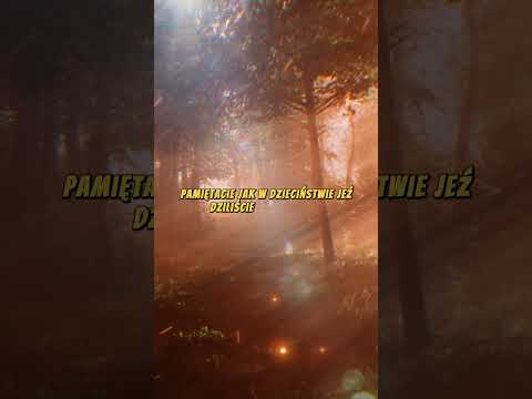 FIND MEANING #motivation #quotes #acceptance