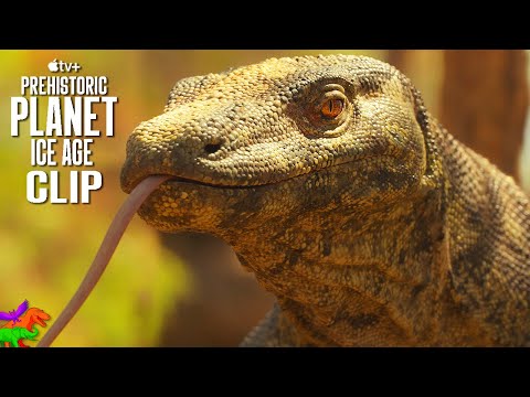 Megalania & Thylacoleo | Prehistoric Planet: Ice Age | OFFICIAL CLIP