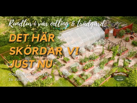 Trädgårdsrundtur & visning av odlingarna - Odlingsdagboken 26 Juli 2023