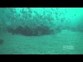 A7 military jet underwater aircraft wreckage 