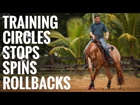 BASIC Training of the Reining Maneuvers & My FUNDAMENTALS