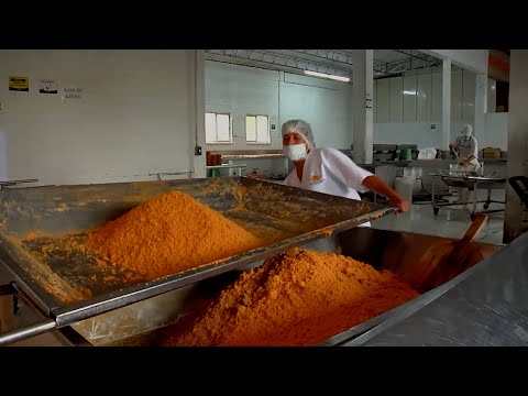 PANELA ORGÁNICA ASOPANELA CAP 2   QUINCHIA   RISARALDA