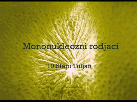 Mononukleozni rodjaci-Slepi tuljan