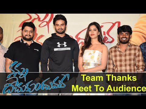 Nannu Dochukunduvate Team Thanks Meet