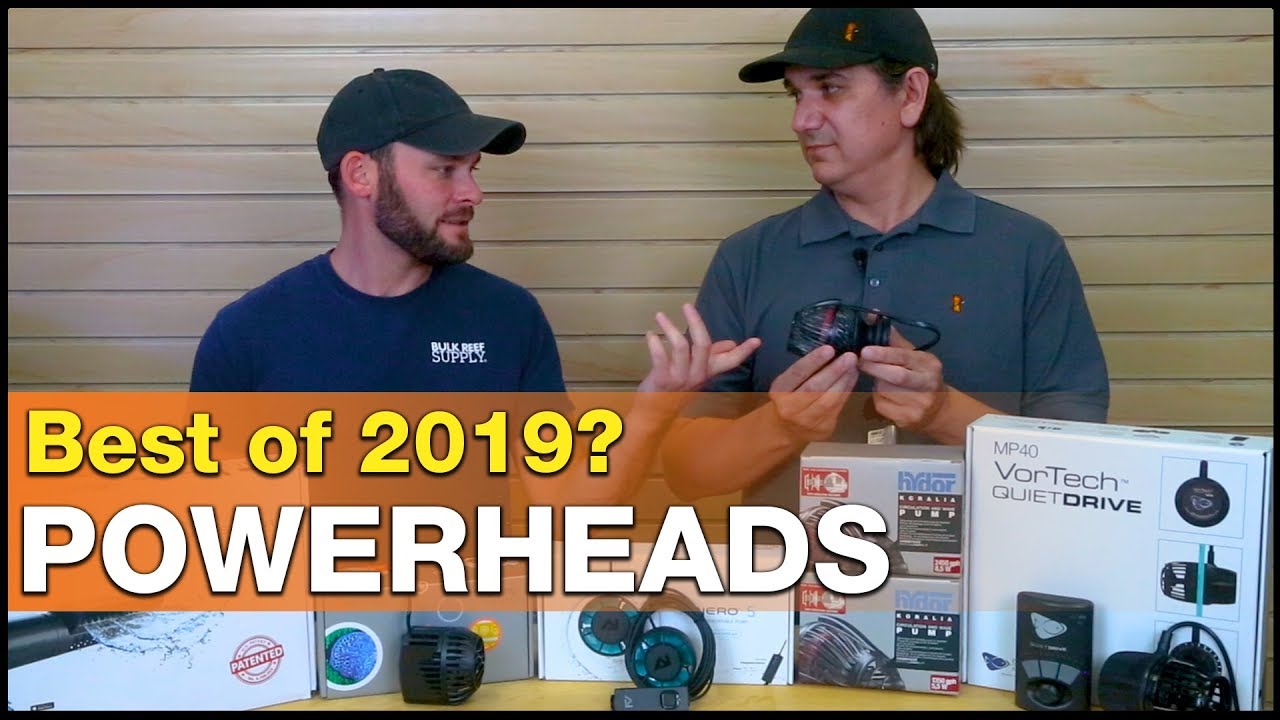 Best of 2020 Powerheads Video