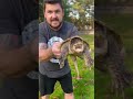 Holding Snapping Turtles Shorts