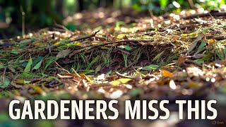 The Ecosystem Mulch Trick Nature Uses… And Gardeners Ignore