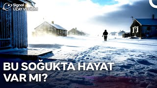 Dünyanın Ucundaki Kasaba: Tuktoyaktuk’ta Yaşam Nasıl? | Türkçe Dublaj