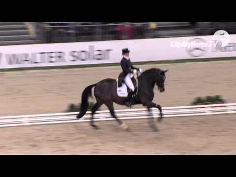 Donnerstag, 14.11.2013 - Dressurcup der Firma iWest, BaWü Finale