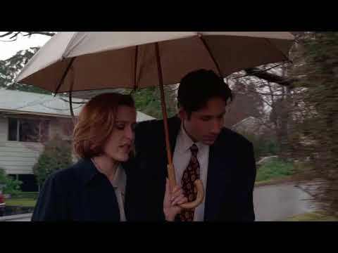 Mulder & Scully scene "Why the hell not?" (4x20)