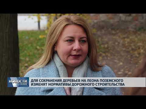 08.10.2019 / Для сохранения деревьев на Леона Поземского изменят нормативы дорожного строительства