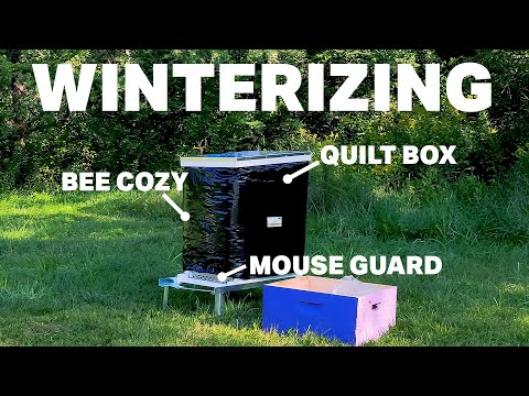 Winter Beekeeping Prep – Bee Hive Wraps & Cold Weather Tips