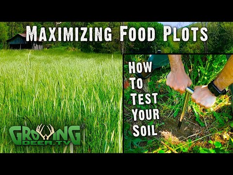 Step by Step Guide to Soil Testing Food Plots (704)