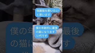 #これからの事#ねこ #cute#cat#猫