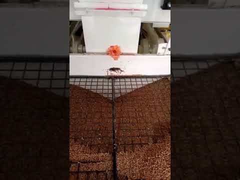 Wheat Grading Machine