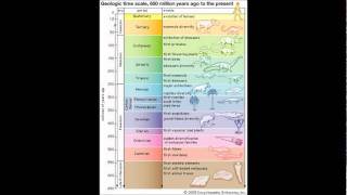 Bio Idol - Believe Darwin