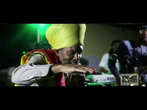 IQulah - Liberation is Hard Work