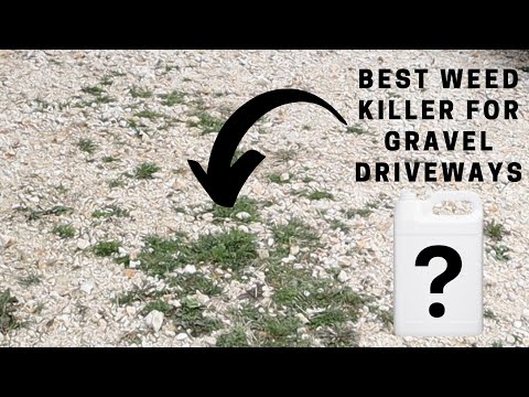 image-How do I stop grass coming through gravel?